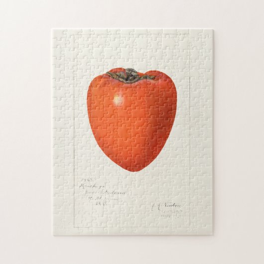 ヴィンテージ柿フルーツ水絵画色 ジグソーパズル (縦)