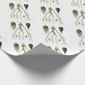 ヴィンテージ根菜植物プリント ラッピングペーパー (角)