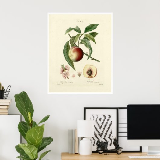 ヴィンテージ桃の木（プルーナス・ペルシカ） N.7ポスター ポスター (ホームオフィス)