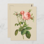ヴィンテージ桃バラ任意の目的はがき ポストカード (正面/裏面)