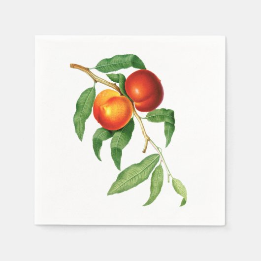 ヴィンテージ桃 スタンダードカクテルナプキン (正面)