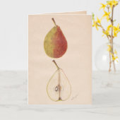 ヴィンテージ梨グリーティングカード カード (黄色い花)
