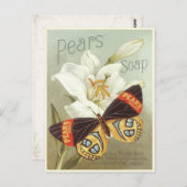 ヴィンテージ梨ソープ付きポストカードプリント ポストカード (正面/裏面)