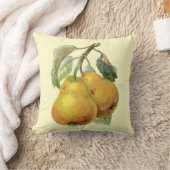 ヴィンテージ梨フランスのカントリーホームデコール クッション (ブランケット)