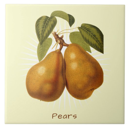 ヴィンテージ梨フルーツボタニカルアートセラミックタイル タイル (正面)