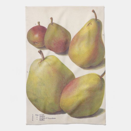 ヴィンテージ梨図解入りの、写真付きの5 キッチンタオル (縦)