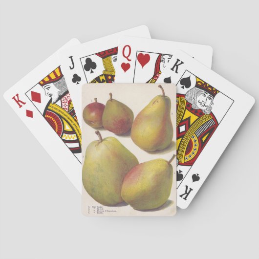 ヴィンテージ梨図解入りの、写真付きの5 トランプ (裏面)