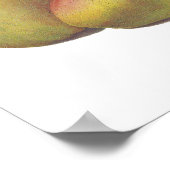 ヴィンテージ梨図解入りの、写真付きの5 ポスター (角)