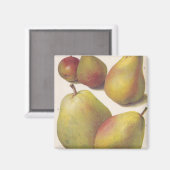 ヴィンテージ梨図解入りの、写真付きの5 マグネット (正面/裏面)