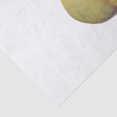 ヴィンテージ梨図解入りの、写真付きの5 薄葉紙 (詳細)