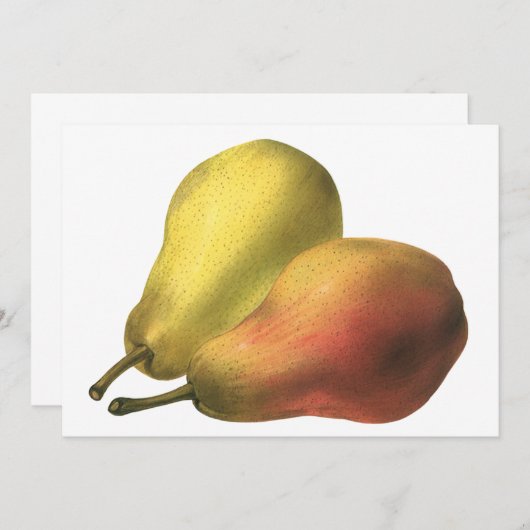 ヴィンテージ梨、オーガニック食品、熟した果実 (正面/裏面)