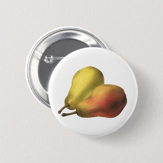 ヴィンテージ梨、オーガニック食品、熟した果実 缶バッジ (正面&裏面)