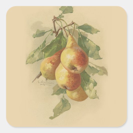 ヴィンテージ梨 スクエアシール (正面)