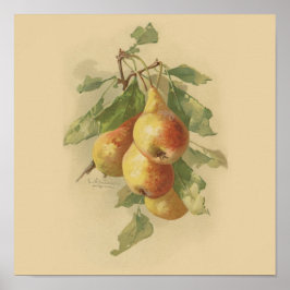 ヴィンテージ梨 ポスター