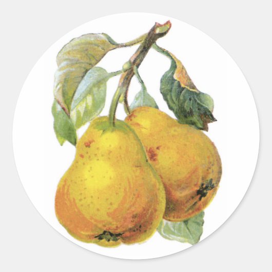 ヴィンテージ梨 ラウンドシール (正面)