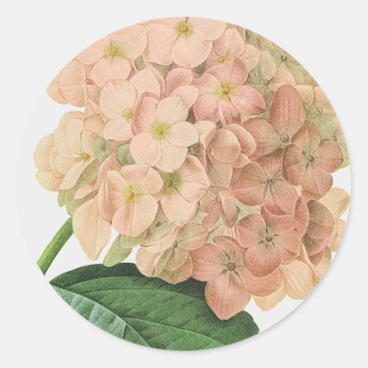 ヴィンテージ植物あじさい花結婚の ラウンドシール (正面)