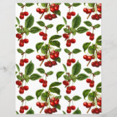 ヴィンテージ植物さくらんぼプリントオンホワイト (正面)