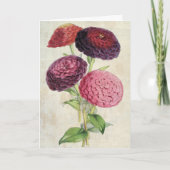 ヴィンテージ植物の二重花の紫《植物》百日草 カード (正面)