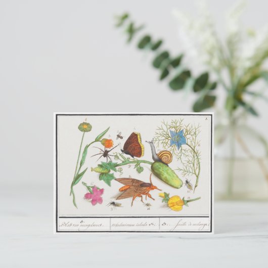 ヴィンテージ植物の絵はがき(蝶とサニ) ポストカード (スタンド正面)