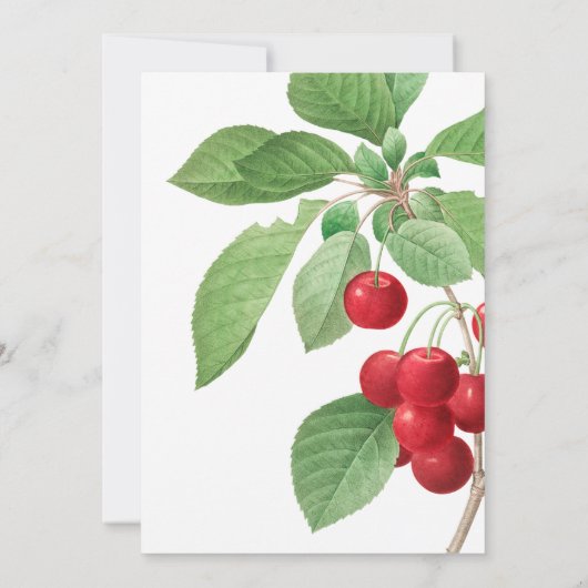 ヴィンテージ植物イラストレーションさくらんぼ結婚ズ 招待状 (裏面)
