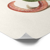 ヴィンテージ植物イラストレーションポスター ポスター (角)