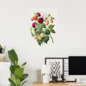 ヴィンテージ植物イラストレーションポスター ポスター (ホームオフィス)