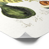 ヴィンテージ植物イラストレーションポスター ポスター (角)