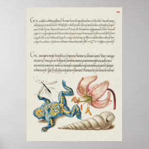 ヴィンテージ植物イラストレーションポスター ポスター