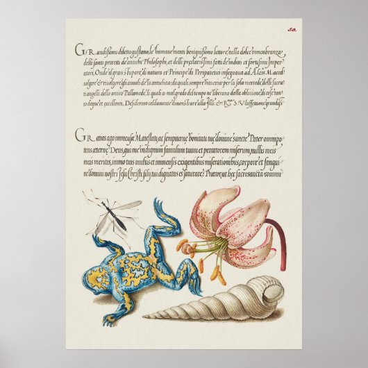 ヴィンテージ植物イラストレーションポスター ポスター (正面)