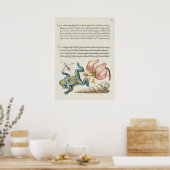 ヴィンテージ植物イラストレーションポスター ポスター (キッチン)