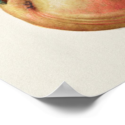 ヴィンテージ植物イラストレーションポスター ポスター (角)