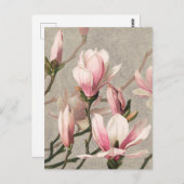 ヴィンテージ植物イラストレーション葉書 ポストカード (正面/裏面)