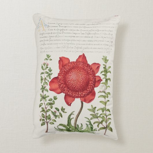 ヴィンテージ植物イラストレーション アクセントクッション (裏面(縦))