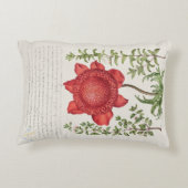 ヴィンテージ植物イラストレーション アクセントクッション (裏面)