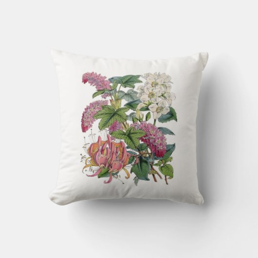 ヴィンテージ植物イラストレーション クッション (正面)