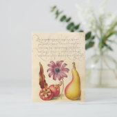 ヴィンテージ植物イラストレーション シーズンポストカード (スタンド正面)