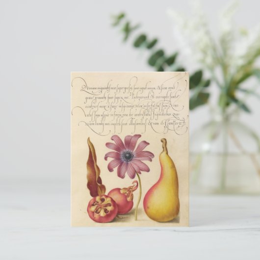 ヴィンテージ植物イラストレーション シーズンポストカード (スタンド正面)