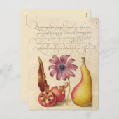 ヴィンテージ植物イラストレーション シーズンポストカード (正面/裏面)