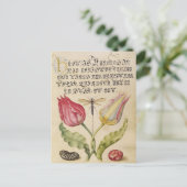 ヴィンテージ植物イラストレーション シーズンポストカード (スタンド正面)