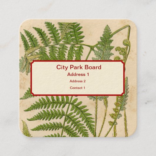 ヴィンテージ植物イラストレーション スクエア名刺 (正面)