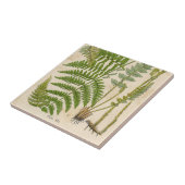 ヴィンテージ植物イラストレーション タイル (側面)