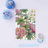 ヴィンテージ植物イラストレーション チラシ (シングル)