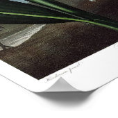 ヴィンテージ植物イラストレーション ポスター (角)