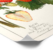 ヴィンテージ植物イラストレーション ポスター (角)