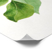 ヴィンテージ植物イラストレーション ポスター (角)