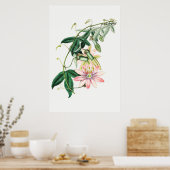 ヴィンテージ植物イラストレーション ポスター (キッチン)