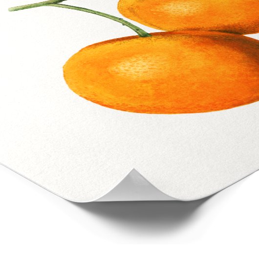 ヴィンテージ植物イラストレーション ポスター (角)