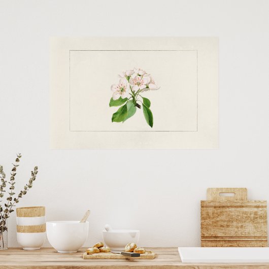 ヴィンテージ植物イラストレーション ポスター (キッチン)