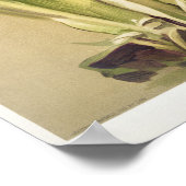 ヴィンテージ植物イラストレーション ポスター (角)