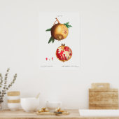 ヴィンテージ植物イラストレーション ポスター (キッチン)